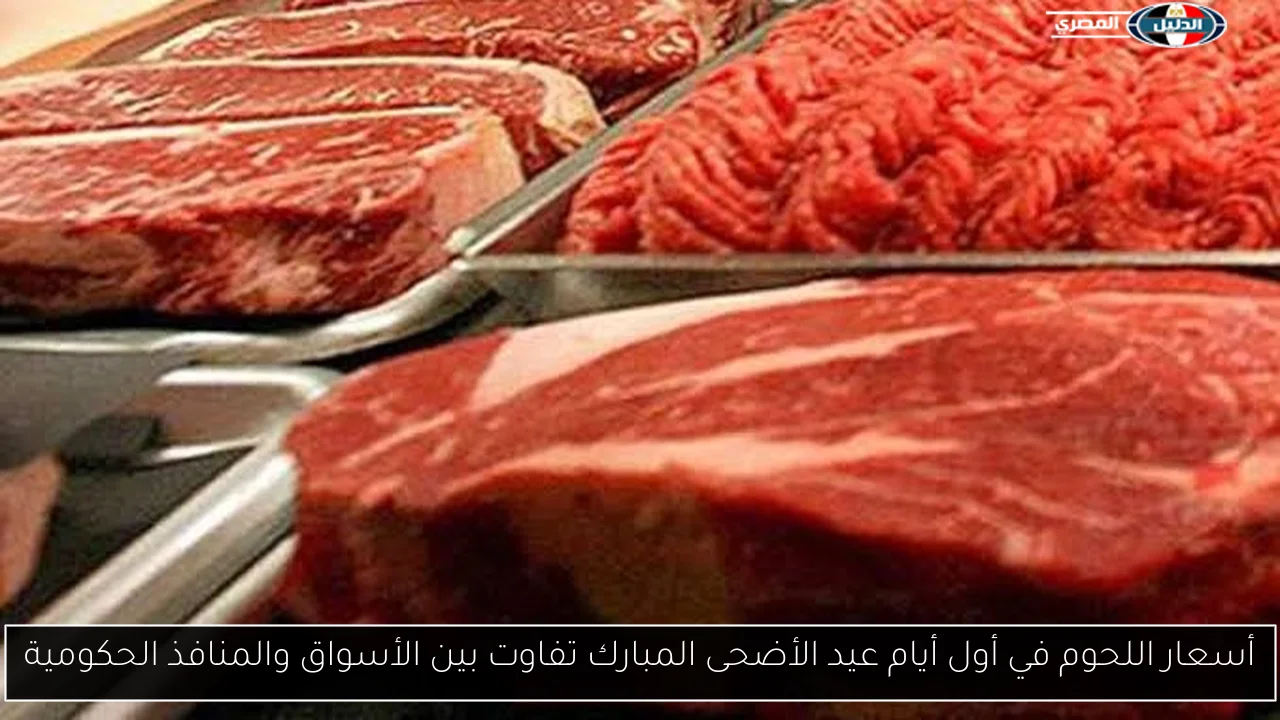 أسعار اللحوم في أول أيام عيد الأضحى المبارك تفاوت بين الأسواق والمنافذ الحكومية