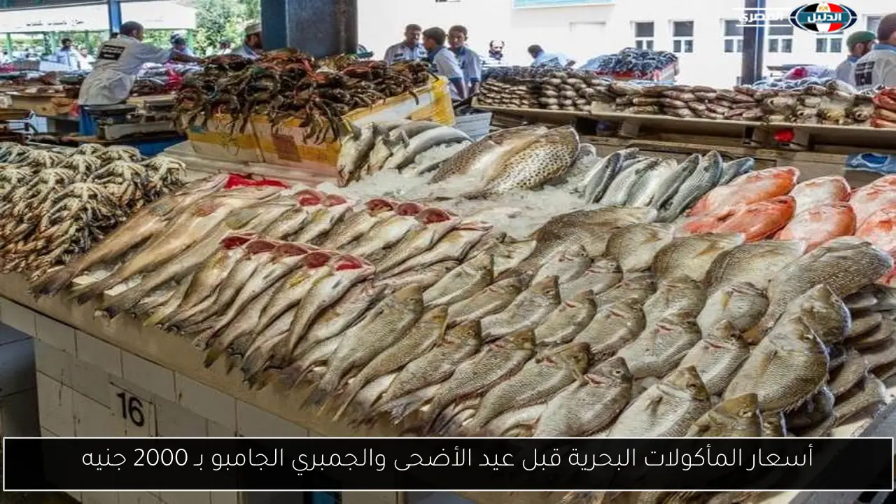 أسعار المأكولات البحرية قبل عيد الأضحى والجمبري الجامبو بـ 2000 جنيه