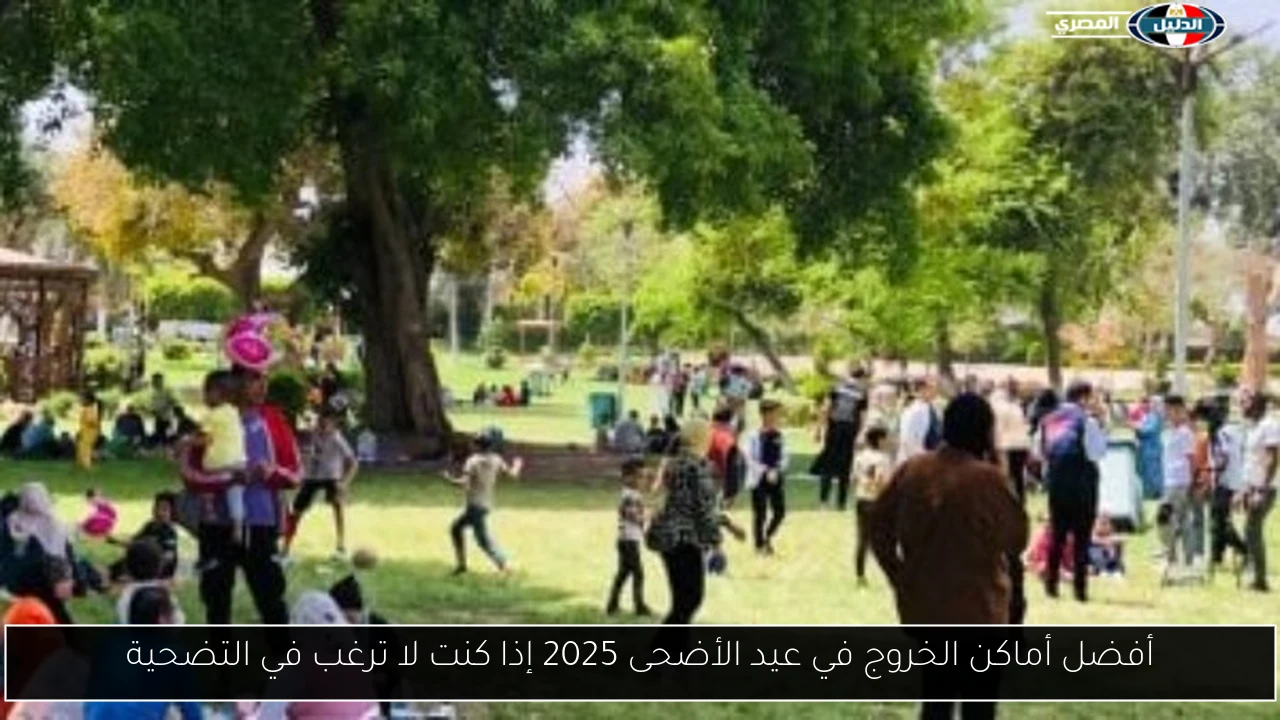 أفضل أماكن الخروج في عيد الأضحى 2025 إذا كنت لا ترغب في التضحية