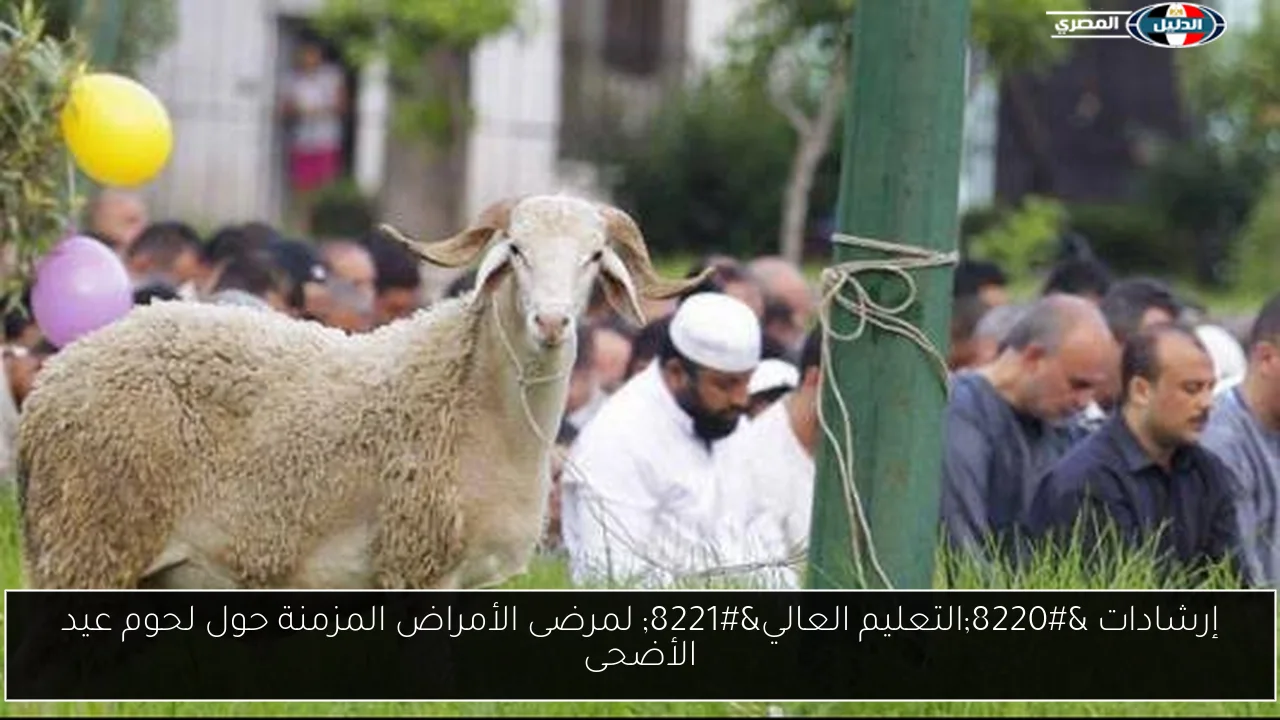 إرشادات “التعليم العالي” لمرضى الأمراض المزمنة حول لحوم عيد الأضحى