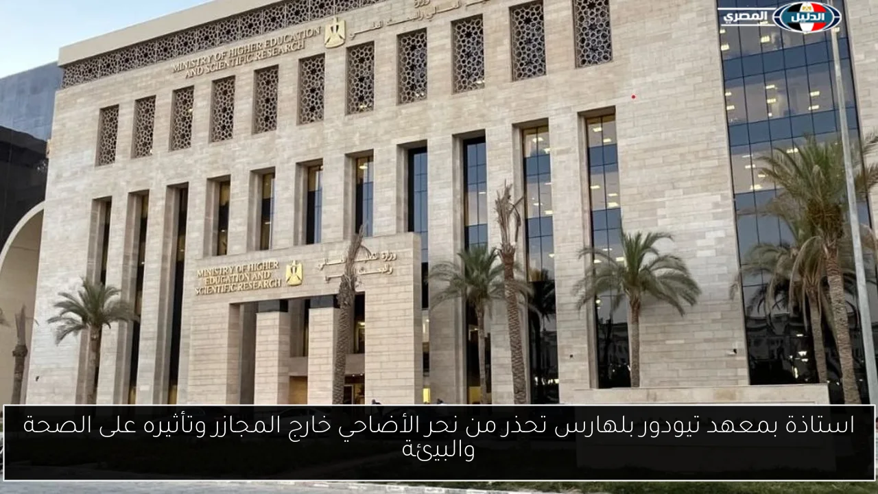 استاذة بمعهد تيودور بلهارس تحذر من نحر الأضاحي خارج المجازر وتأثيره على الصحة والبيئة