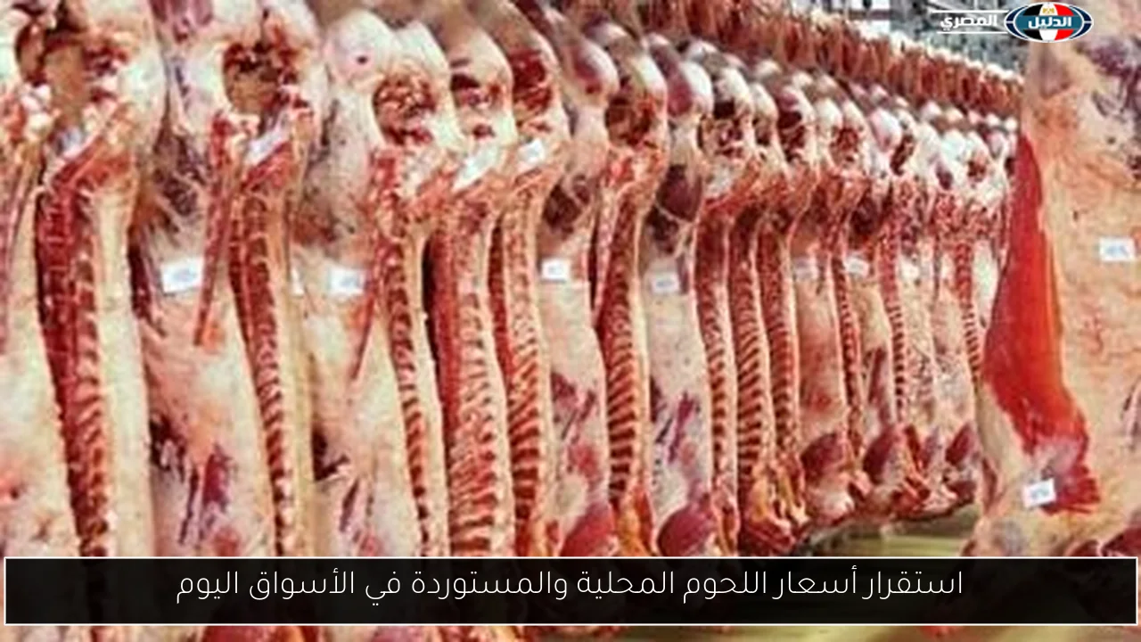 استقرار أسعار اللحوم المحلية والمستوردة في الأسواق اليوم