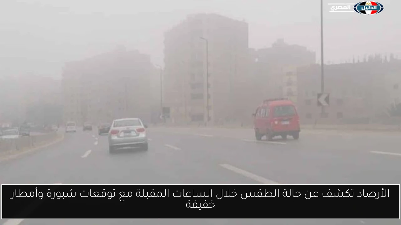 الأرصاد تكشف عن حالة الطقس خلال الساعات المقبلة مع توقعات شبورة وأمطار خفيفة