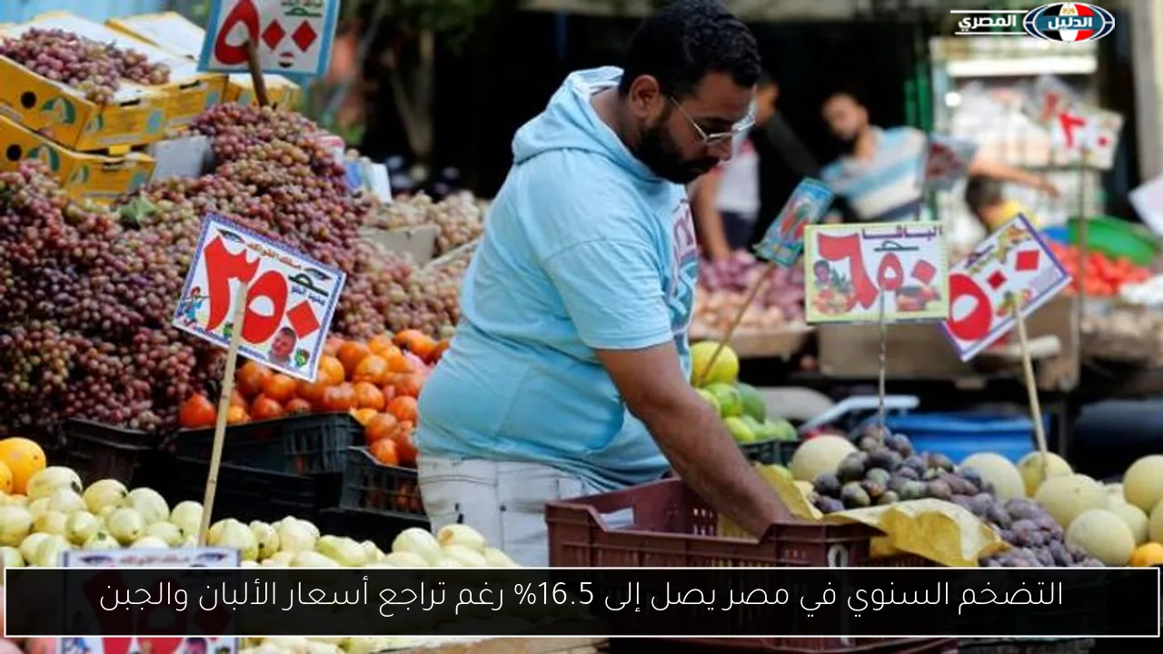 التضخم السنوي في مصر يصل إلى 16.5% رغم تراجع أسعار الألبان والجبن