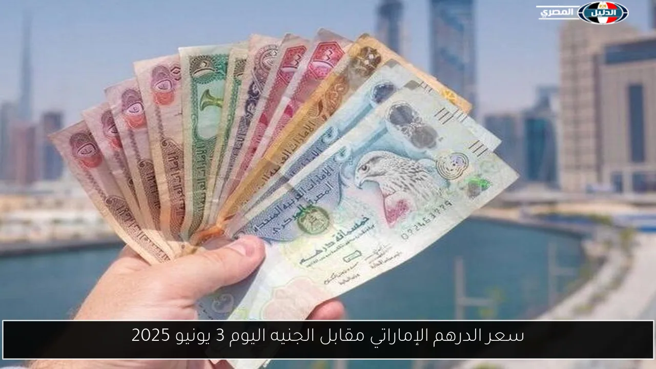 سعر الدرهم الإماراتي مقابل الجنيه اليوم 3 يونيو 2025