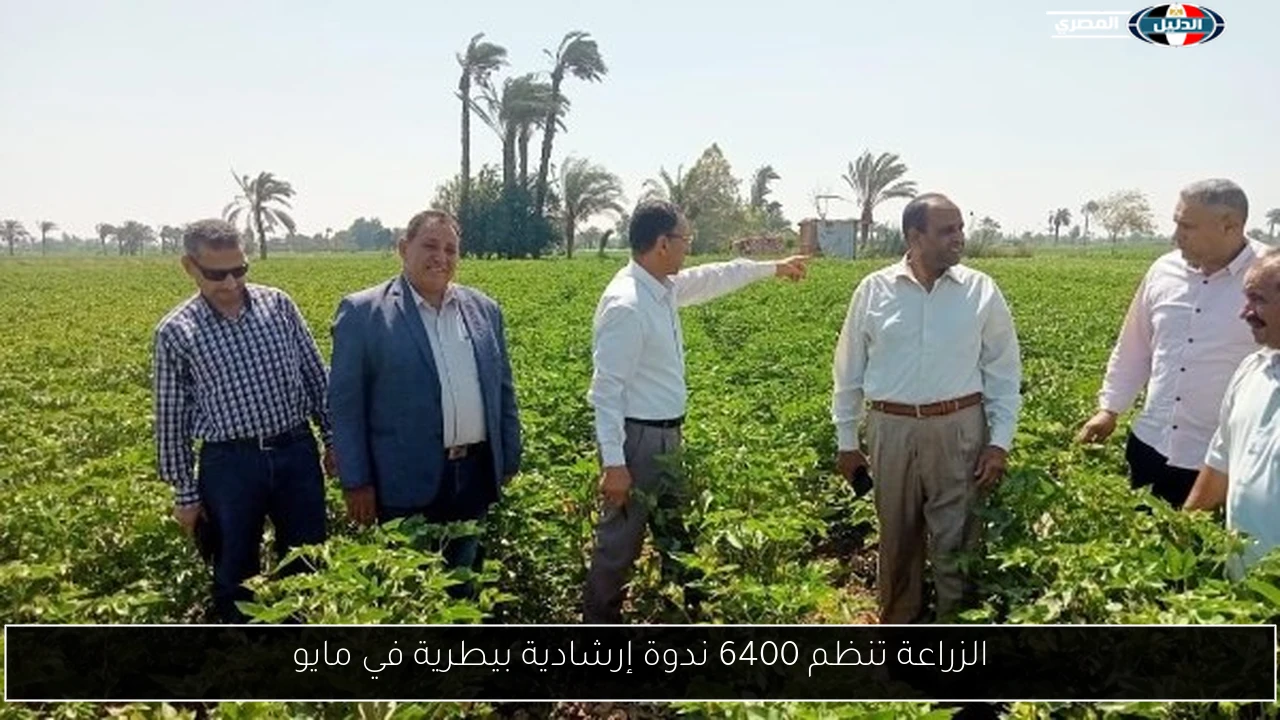 الزراعة تنظم 6400 ندوة إرشادية بيطرية في مايو