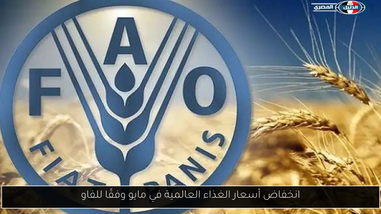 انخفاض أسعار الغذاء العالمية في مايو وفقًا للفاو