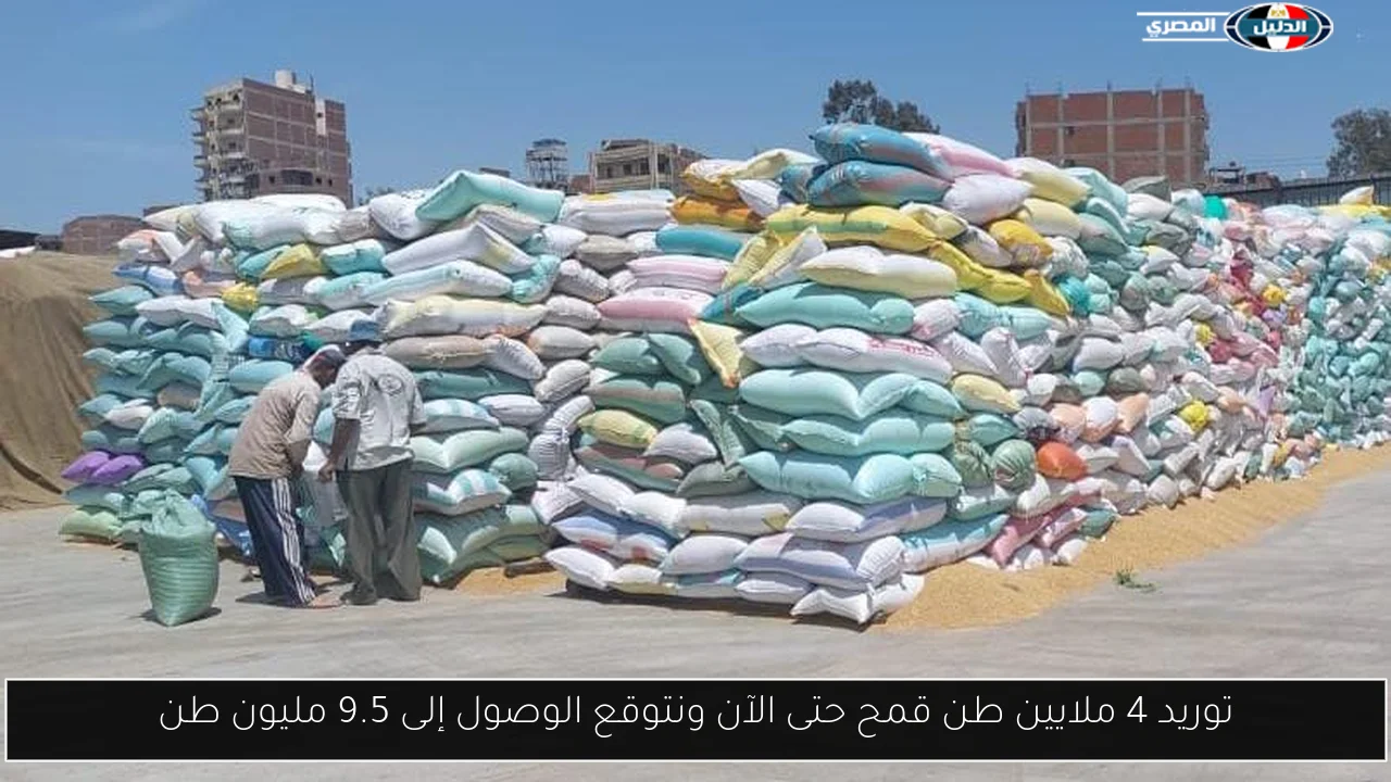 توريد 4 ملايين طن قمح حتى الآن ونتوقع الوصول إلى 9.5 مليون طن
