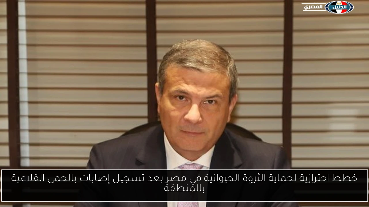 خطط احترازية لحماية الثروة الحيوانية في مصر بعد تسجيل إصابات بالحمى القلاعية بالمنطقة