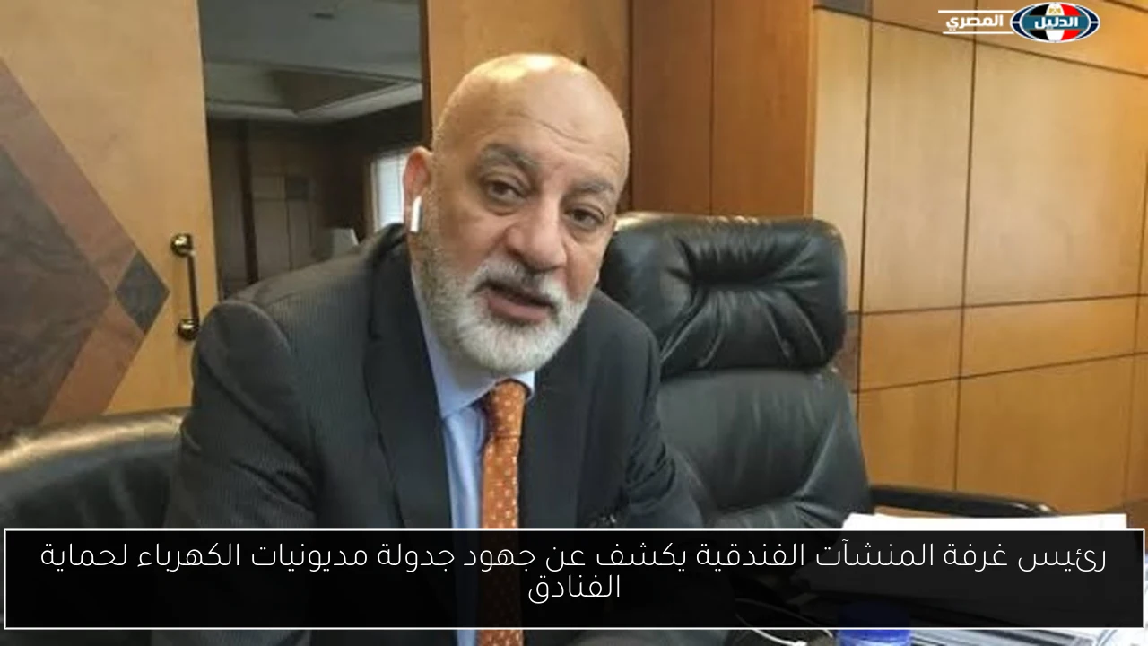 رئيس غرفة المنشآت الفندقية يكشف عن جهود جدولة مديونيات الكهرباء لحماية الفنادق