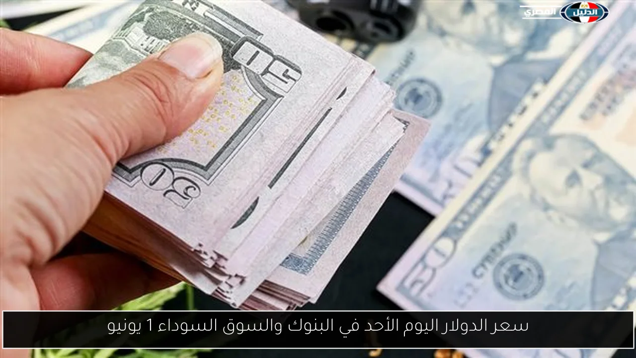 سعر الدولار اليوم الأحد في البنوك والسوق السوداء 1 يونيو