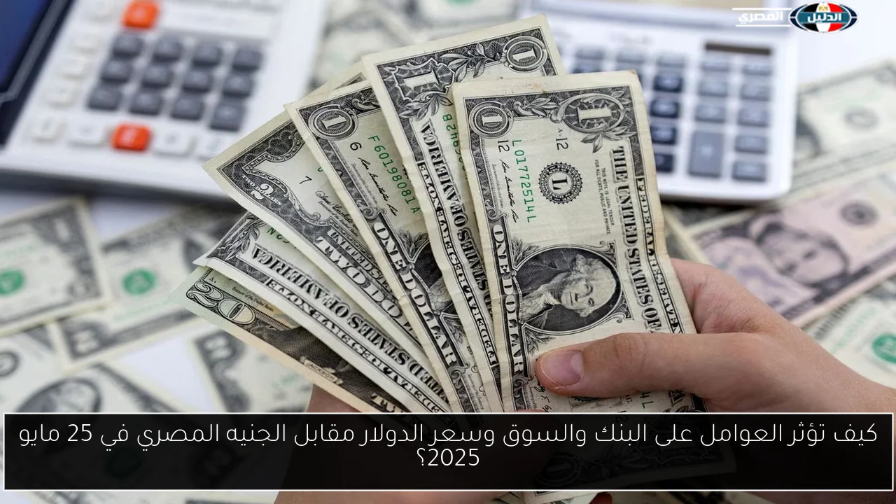 كيف تؤثر العوامل على البنك والسوق وسعر الدولار مقابل الجنيه المصري في 25 مايو 2025؟