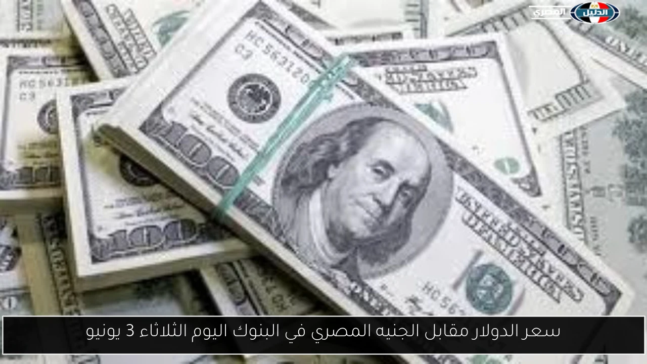 سعر الدولار مقابل الجنيه المصري في البنوك اليوم الثلاثاء 3 يونيو