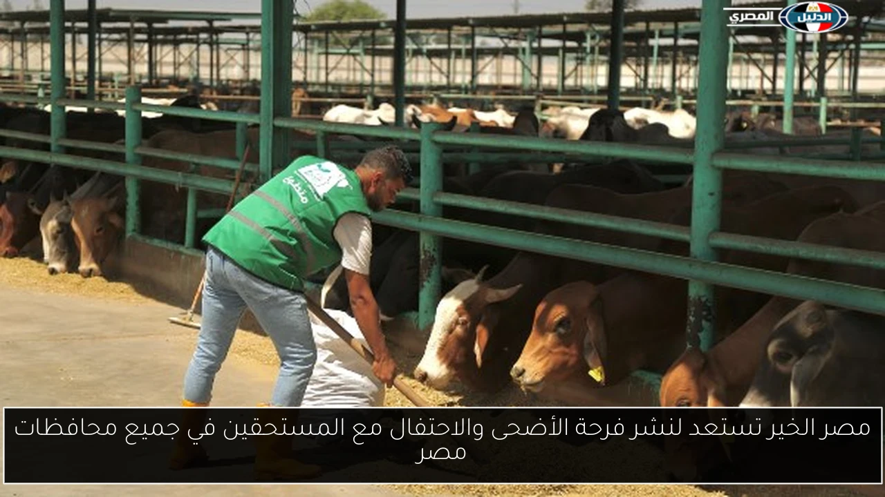 مصر الخير تستعد لنشر فرحة الأضحى والاحتفال مع المستحقين في جميع محافظات مصر