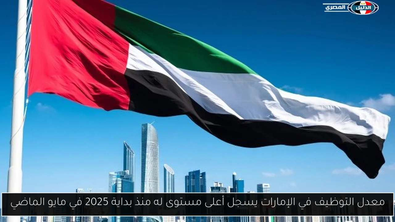 معدل التوظيف في الإمارات يسجل أعلى مستوى له منذ بداية 2025 في مايو الماضي