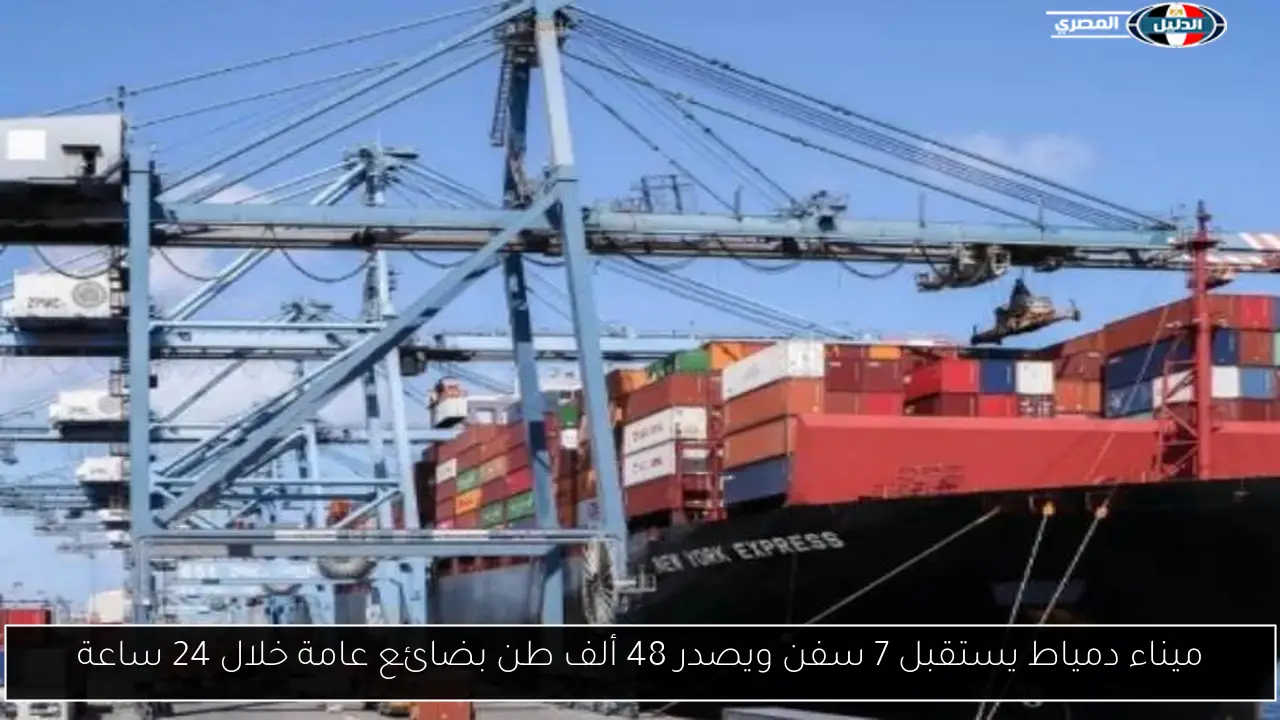 ميناء دمياط يستقبل 7 سفن ويصدر 48 ألف طن بضائع عامة خلال 24 ساعة