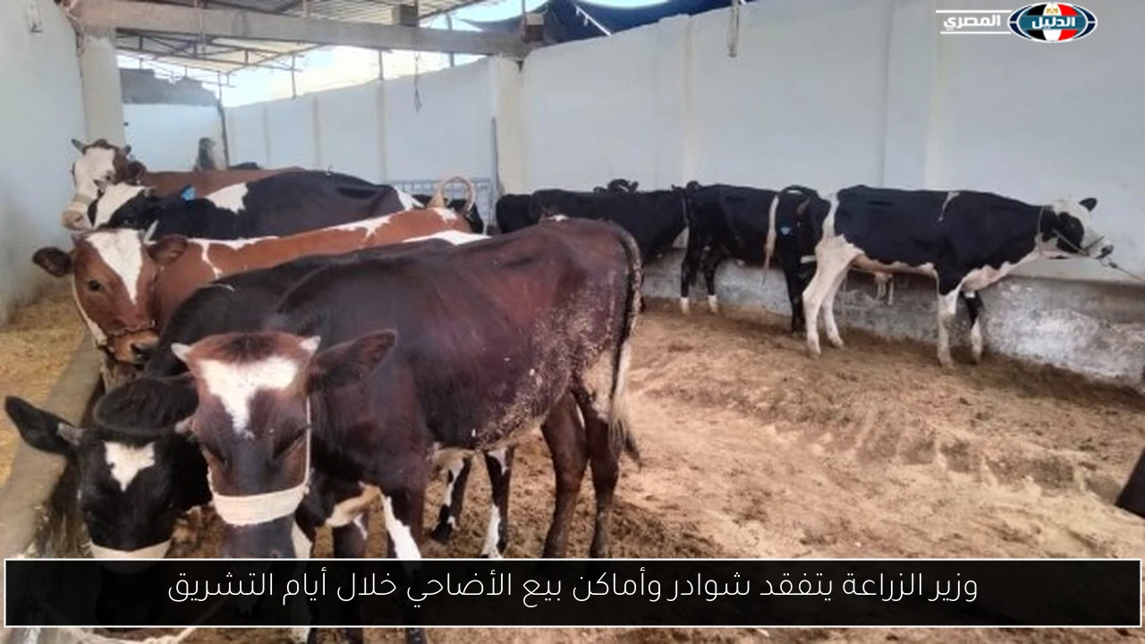 وزير الزراعة يتفقد شوادر وأماكن بيع الأضاحي خلال أيام التشريق